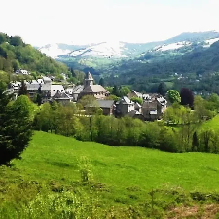 Maison De Caractere A Thiezac, 10 Pers, 5 Ch, Terrasse, Jardin, A Proximite - Fr-1-742-385 *