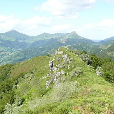 Maison De Caractere A Thiezac, 10 Pers, 5 Ch, Terrasse, Jardin, Ski A Proximite - Fr-1-742-385 Holiday home *